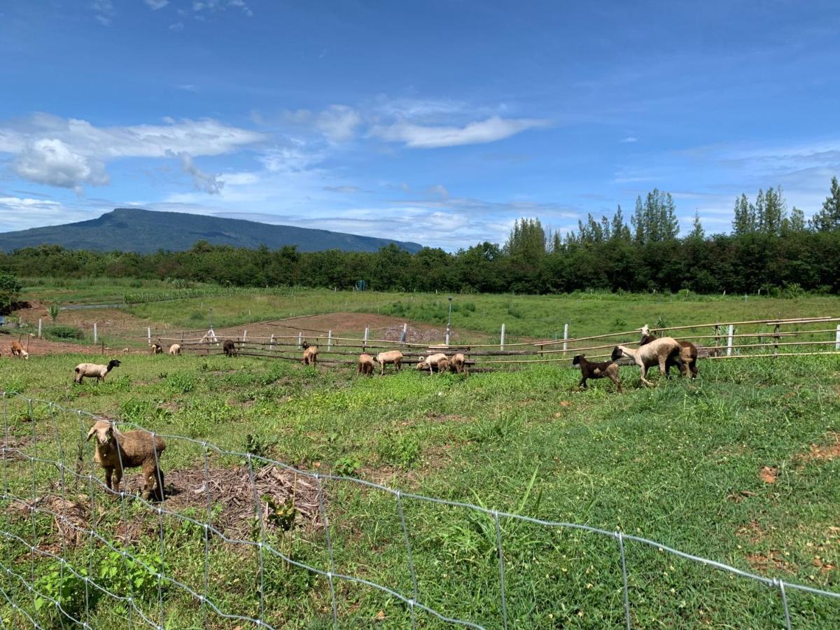 Farm stay ฟาร์มแกะภูกระดึง Waraporn Valley Ban Nong Tum