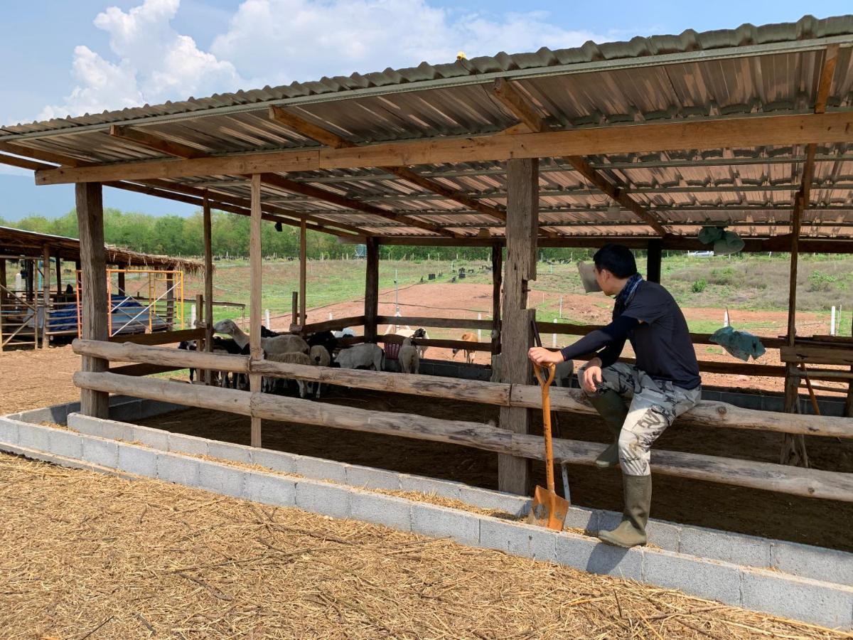 ฟาร์มแกะภูกระดึง Waraporn Valley Farm stay