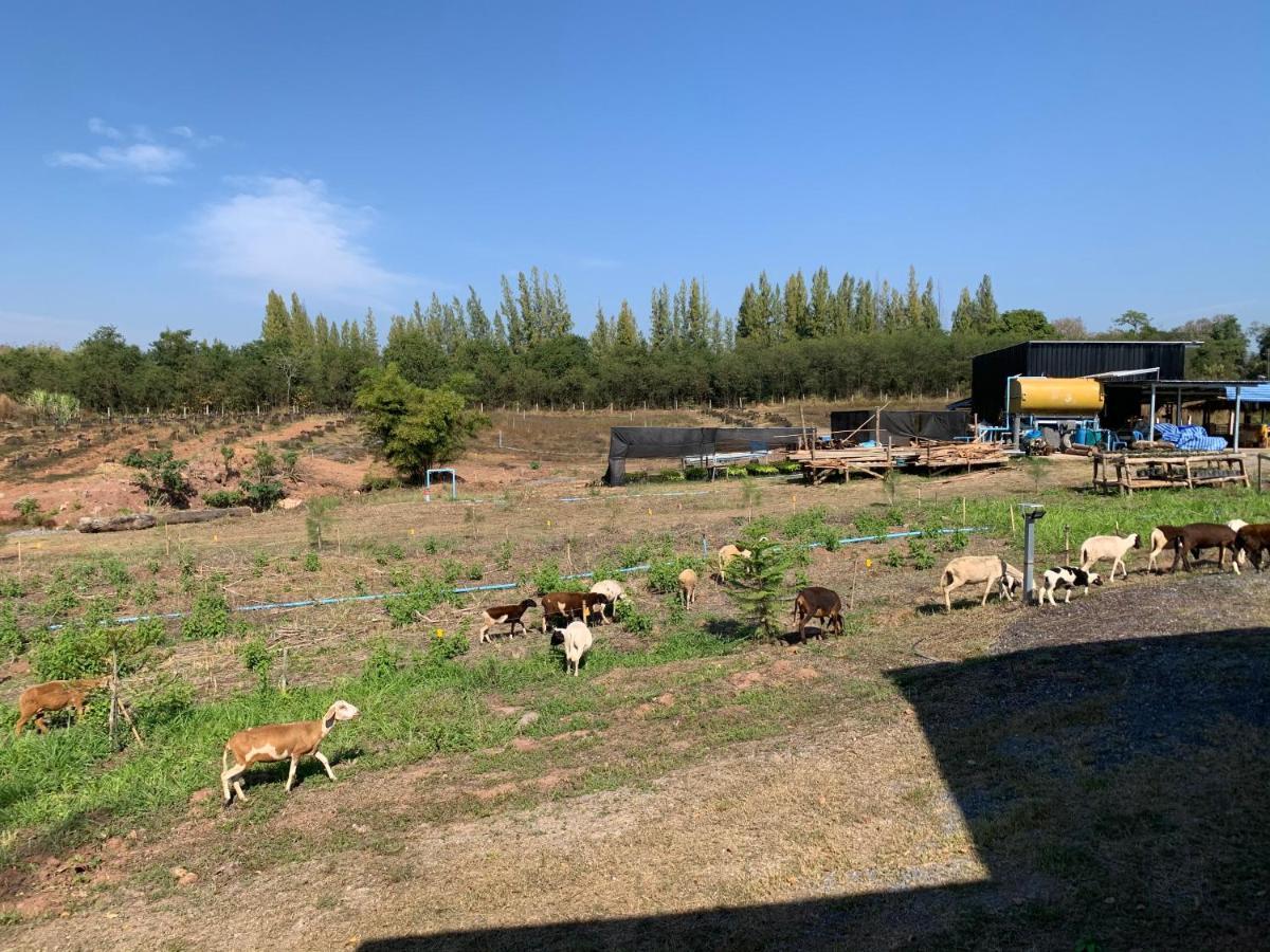 ฟาร์มแกะภูกระดึง Waraporn Valley Farm stay *